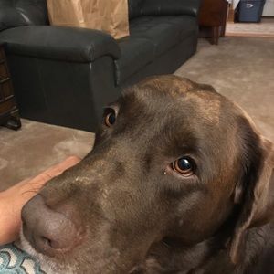 Meet your Posher, Allison